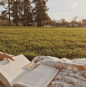 Meet your Posher, Sky